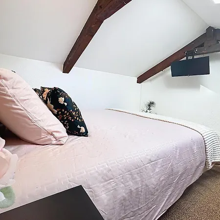 Le Splendide - Modern & Cocooning * Tarbes