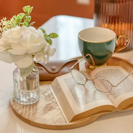 Daire Le Splendide - Modern & Cocooning Tarbes