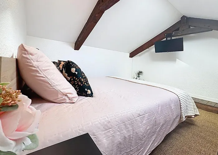 Le Splendide - Modern&cocooning * Tarbes